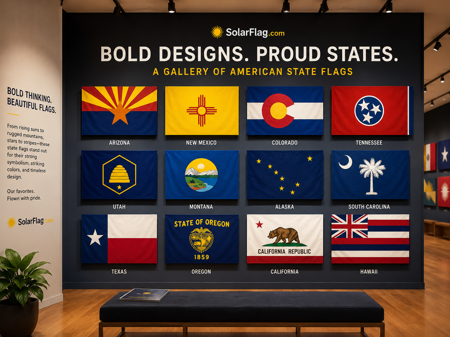 Bold state flag designs displayed in a gallery